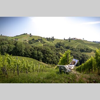 Relax in the South Styria Nature Park | © Steiermark Tourismus | Tom Lamm