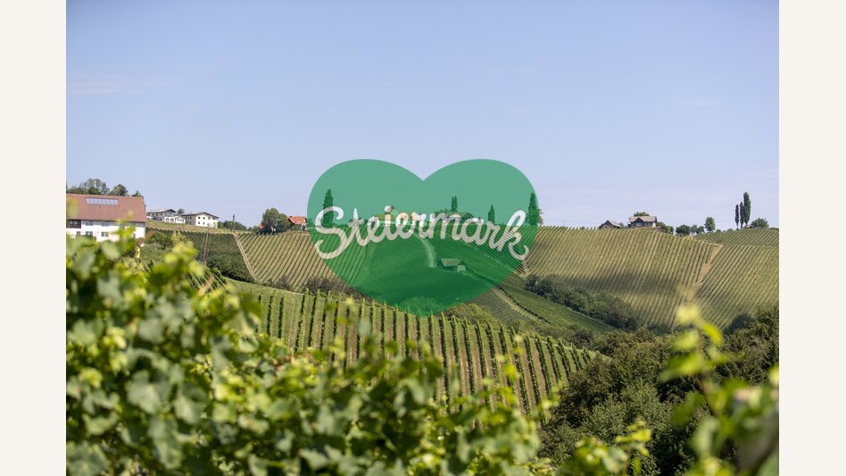 Blick auf die südsteirischen Weinberge | © STG | Tom Lamm
