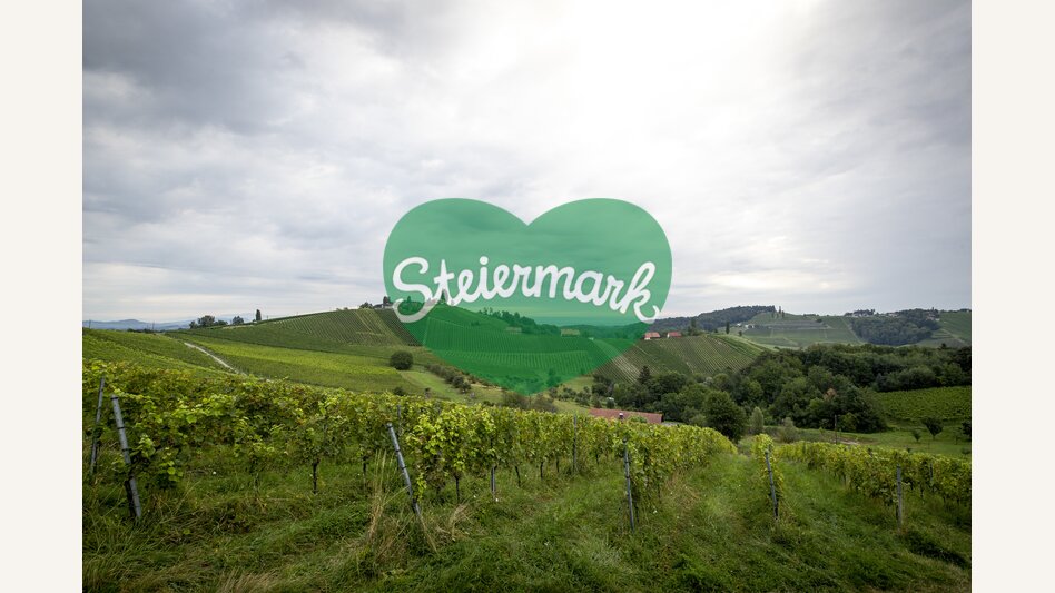 View of the South Styrian vineyards | © Steiermark Tourismus | Tom Lamm