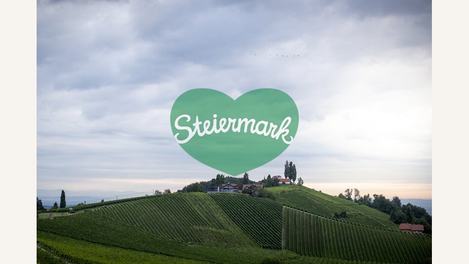 View of the South Styrian vineyards | © Steiermark Tourismus | Tom Lamm