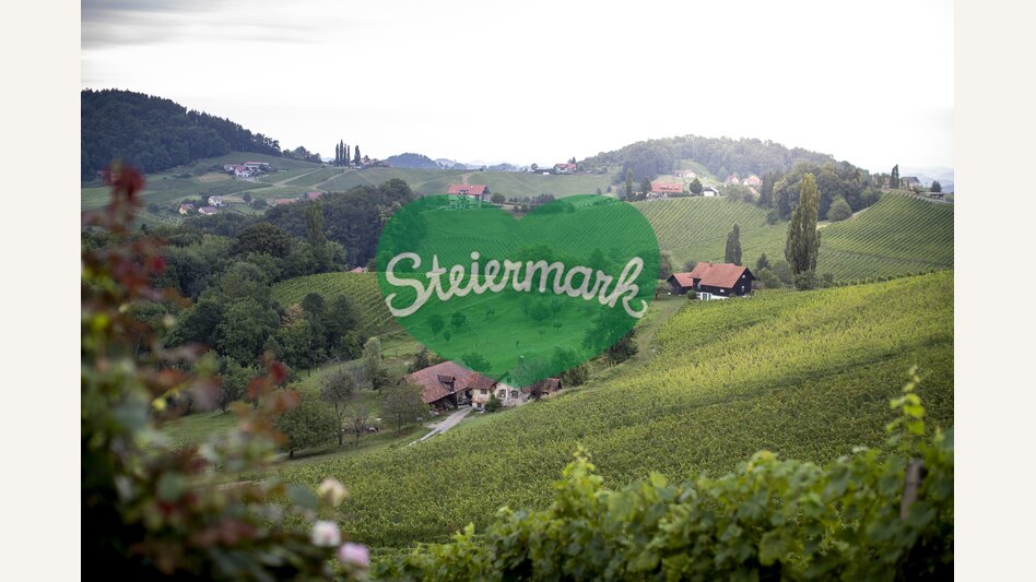 Blick auf die südsteirischen Weinberge | © STG | Tom Lamm