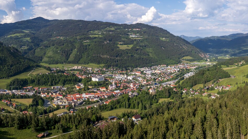 Blick auf Murau