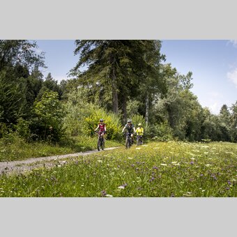Ennsradweg | © Steiermark Tourismus | Tom Lamm