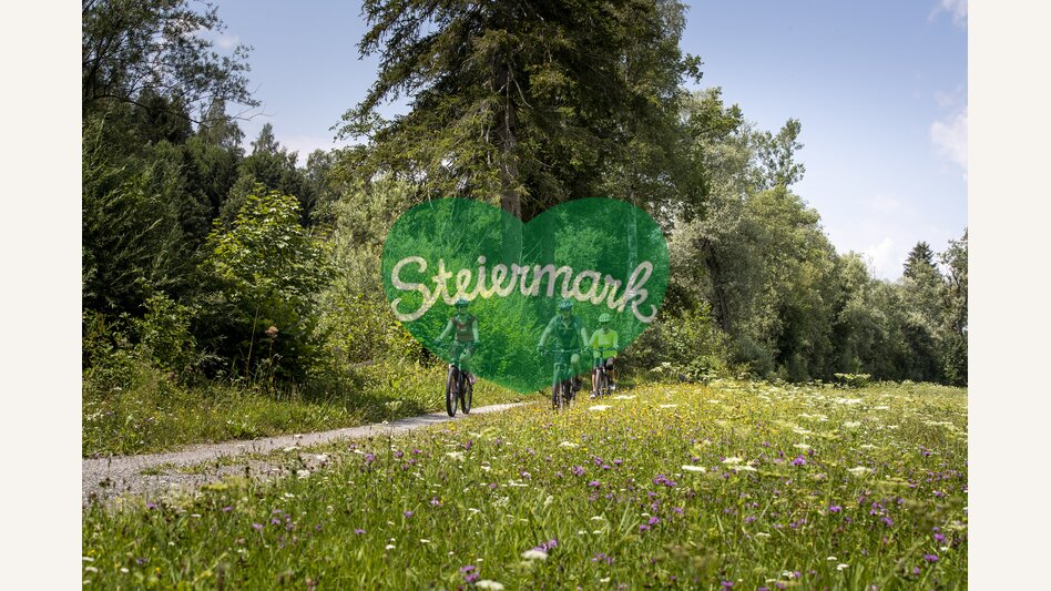 Ennsradweg | © Steiermark Tourismus | Tom Lamm