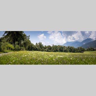 Ennsradweg | © Steiermark Tourismus | Tom Lamm