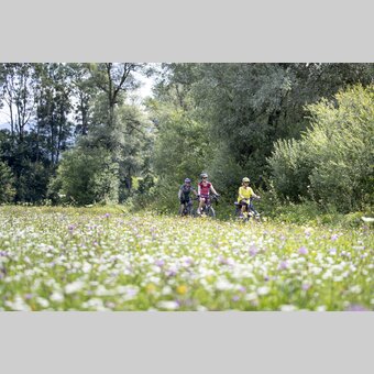 Ennsradweg | © Steiermark Tourismus | Tom Lamm