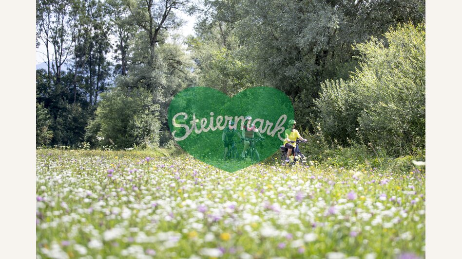 Ennsradweg | © Steiermark Tourismus | Tom Lamm
