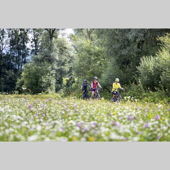 Ennsradweg | © Steiermark Tourismus | Tom Lamm