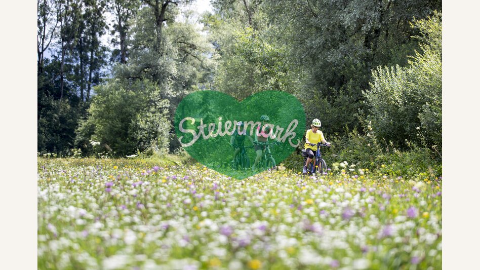Ennsradweg | © Steiermark Tourismus | Tom Lamm