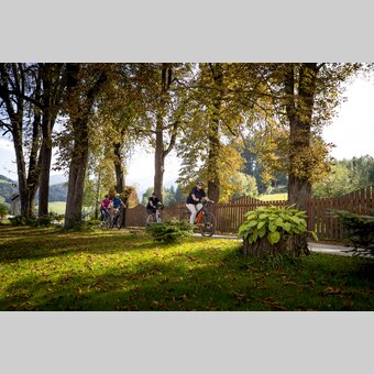 Cyclists on tour | © Steiermark Tourismus | Tom Lamm