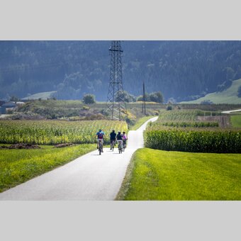 Mur Cycle Path | © Steiermark Tourismus | Tom Lamm