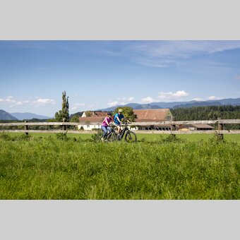Mur Cycle Path | © Steiermark Tourismus | Tom Lamm