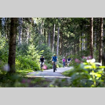 Am Murradweg im Murtal | © STG | Tom Lamm