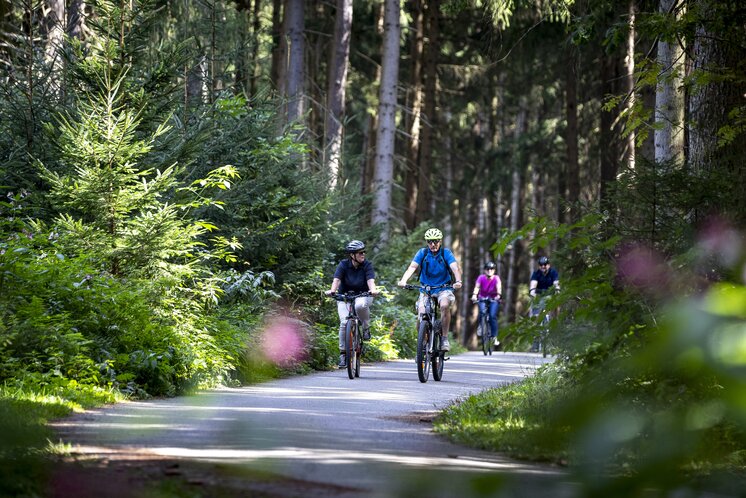 Mur Cycle Path | © Steiermark Tourismus | Tom Lamm