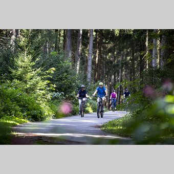 Mur Cycle Path | © Steiermark Tourismus | Tom Lamm