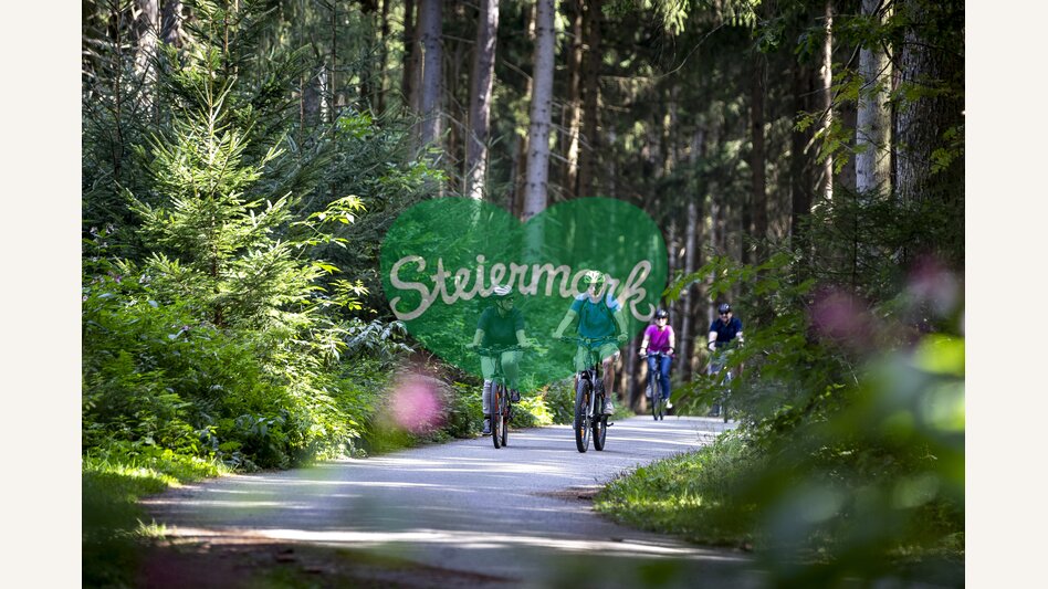 Mur Cycle Path | © Steiermark Tourismus | Tom Lamm