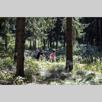Mur Cycle Path | © Steiermark Tourismus | Tom Lamm