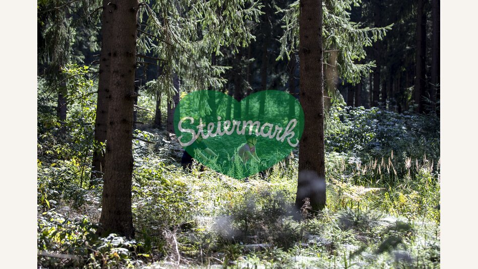 Mur Cycle Path | © Steiermark Tourismus | Tom Lamm