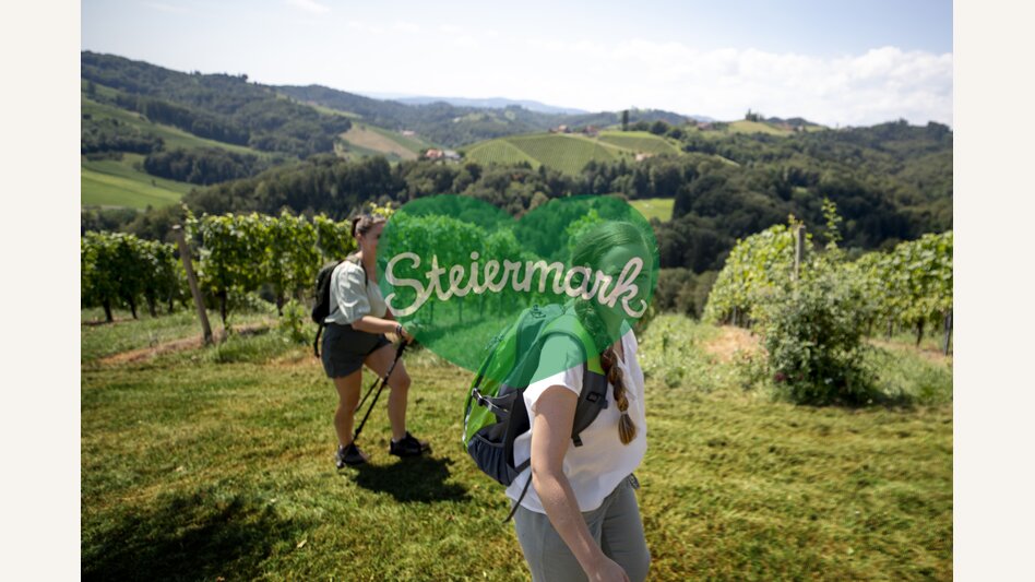 Wine Hiking in Southern Styria | © Steiermark Tourismus | Tom Lamm