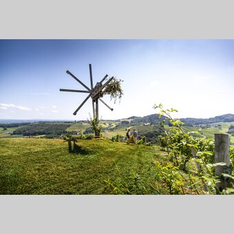 Wine Hiking in Southern Styria | © Steiermark Tourismus | Tom Lamm
