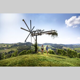 Wine Hiking in Southern Styria | © Steiermark Tourismus | Tom Lamm