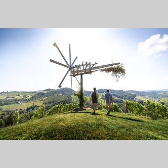 Wine Hiking in Southern Styria | © Steiermark Tourismus | Tom Lamm