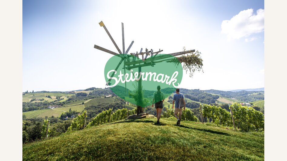 Wine Hiking in Southern Styria | © Steiermark Tourismus | Tom Lamm