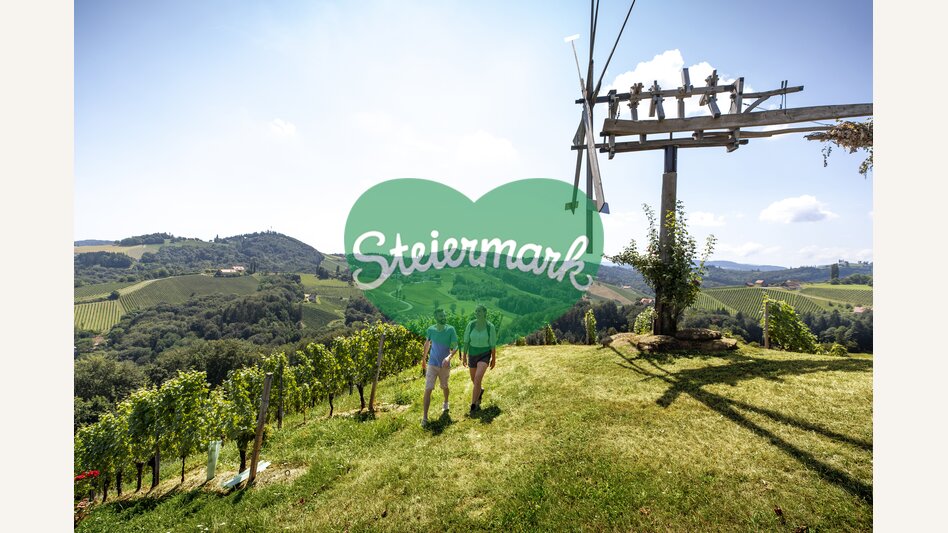 Wine Hiking in Southern Styria | © Steiermark Tourismus | Tom Lamm