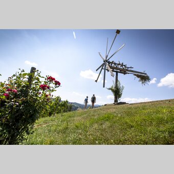 Wine Hiking in Southern Styria | © Steiermark Tourismus | Tom Lamm