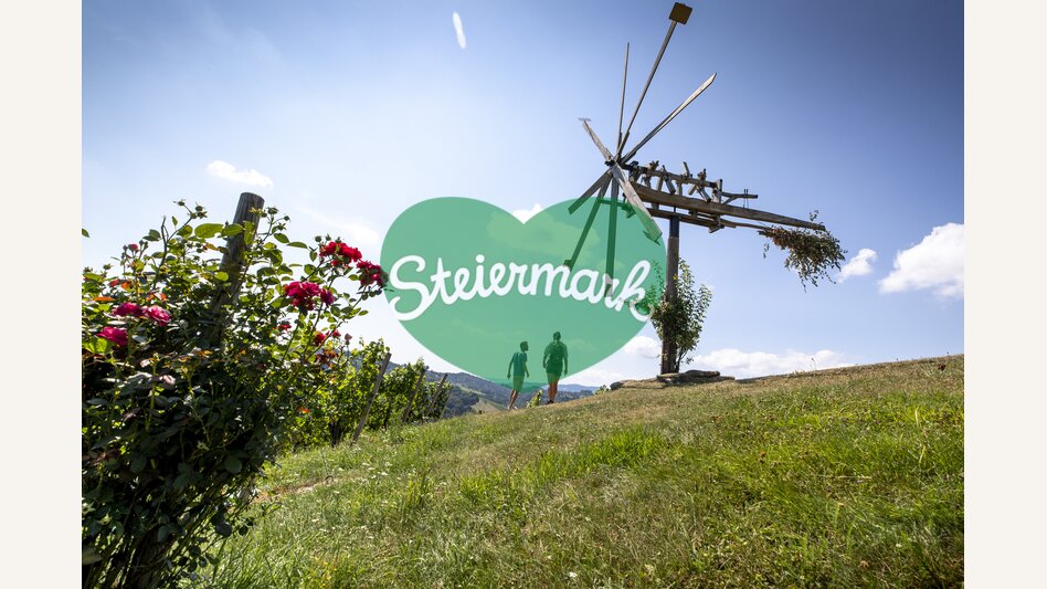 Wine Hiking in Southern Styria | © Steiermark Tourismus | Tom Lamm