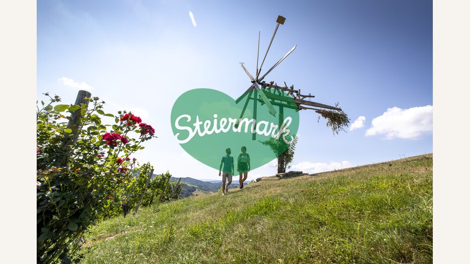 Wine Hiking in Southern Styria | © Steiermark Tourismus | Tom Lamm