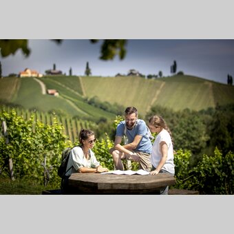 Wine Hiking in Southern Styria | © Steiermark Tourismus | Tom Lamm