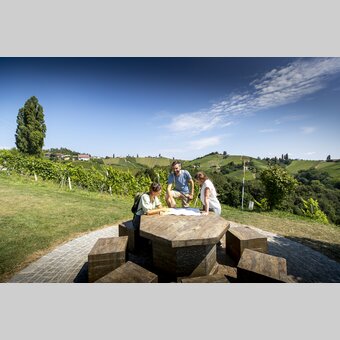 Wine Hiking in Southern Styria | © Steiermark Tourismus | Tom Lamm