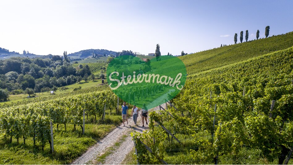 Wine Hiking in Southern Styria | © Steiermark Tourismus | Tom Lamm