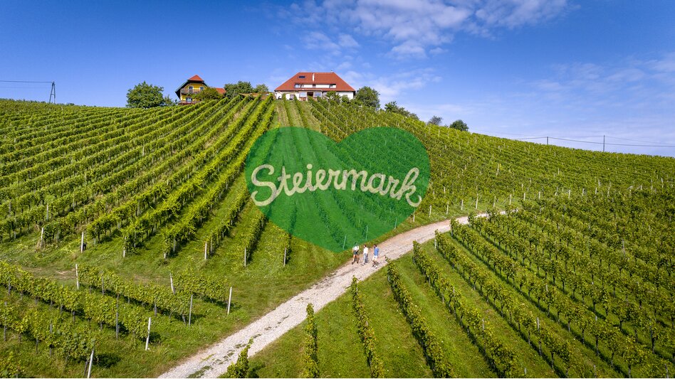 Wine Hiking in Southern Styria | © Steiermark Tourismus | Tom Lamm