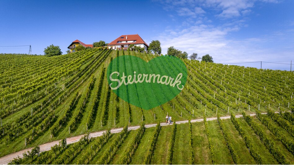 Wine Hiking in Southern Styria | © Steiermark Tourismus | Tom Lamm