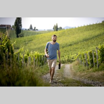 Wine enjoyment in the Southern Styrian vineyards | © Steiermark Tourismus | Tom Lamm