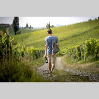 Wine enjoyment in the South Styrian vineyards | © Steiermark Tourismus | Tom Lamm