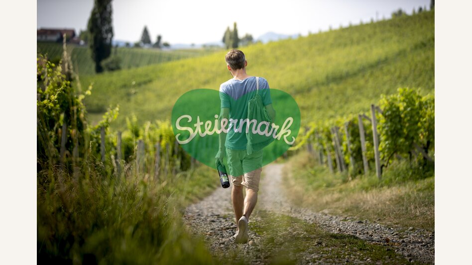 Wine enjoyment in the South Styrian vineyards | © Steiermark Tourismus | Tom Lamm