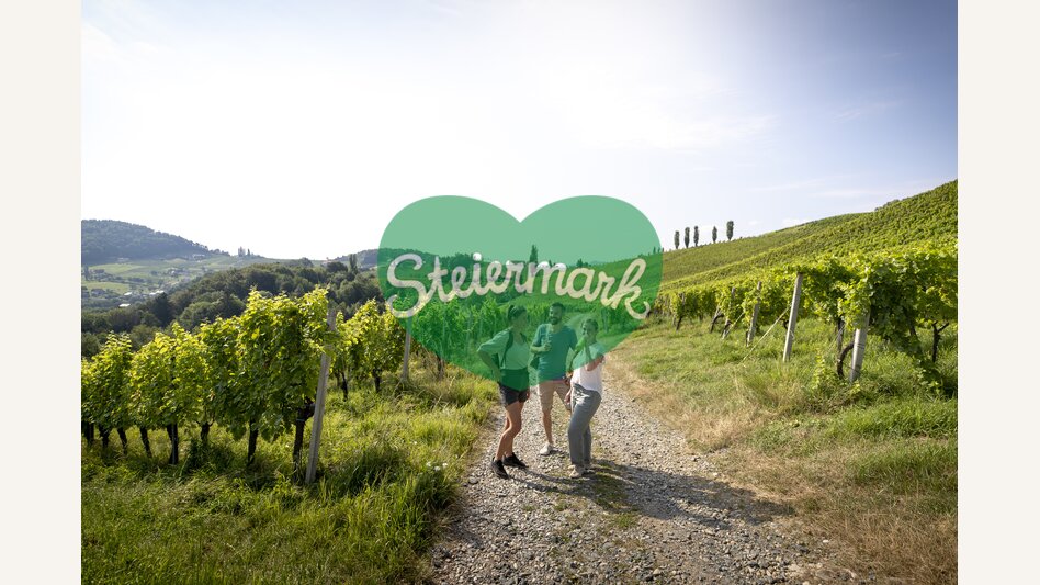Hiking through the vineyards of southern Styria | © Steiermark Tourismus | Tom Lamm