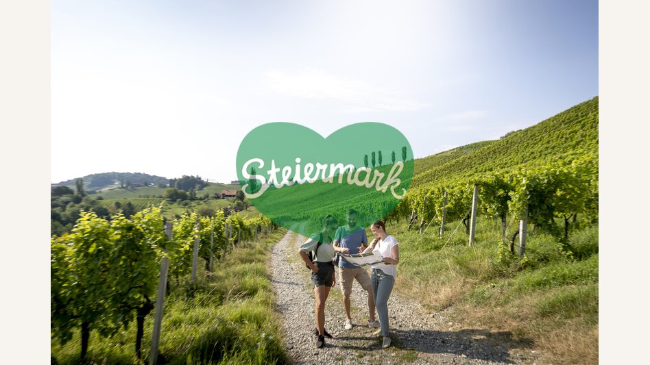 Where to on the wine (trail)...? | © Steiermark Tourismus | Tom Lamm