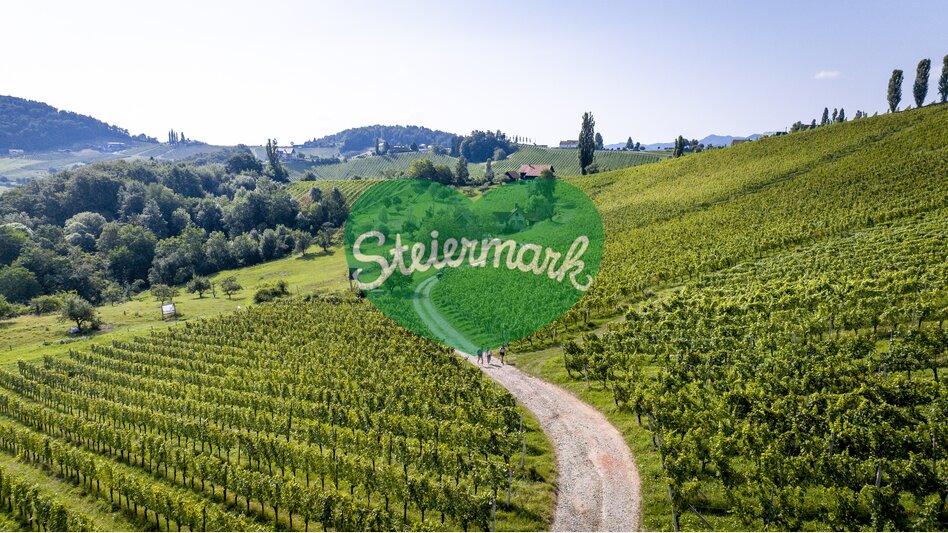 Hiking through the vineyards of southern Styria | © Steiermark Tourismus | Tom Lamm