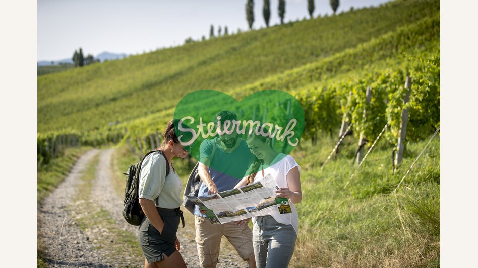 Hiking through the vineyards of southern Styria | © Steiermark Tourismus | Tom Lamm