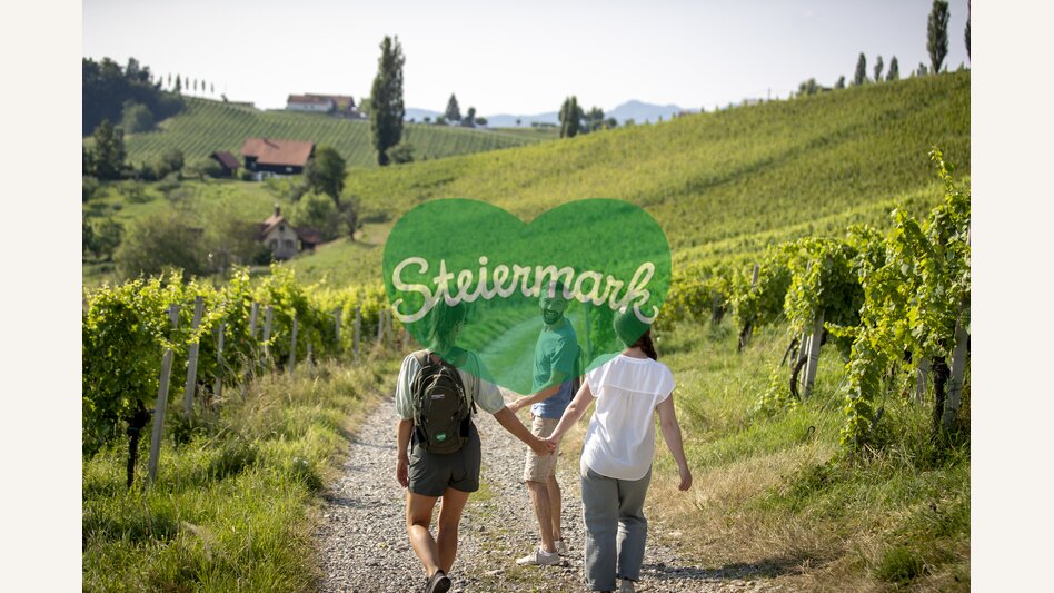 Hiking through the vineyards of southern Styria | © Steiermark Tourismus | Tom Lamm