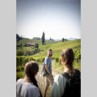 Wanderung durch die südsteirischen Weinberge | © STG | Tom Lamm