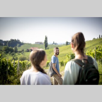 Hiking through the vineyards of southern Styria | © Steiermark Tourismus | Tom Lamm