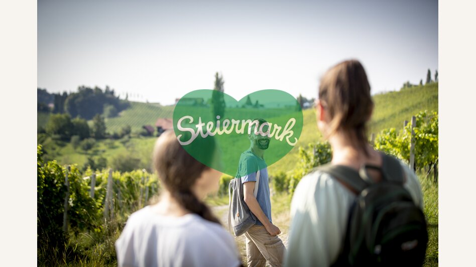 Hiking through the vineyards of southern Styria | © Steiermark Tourismus | Tom Lamm