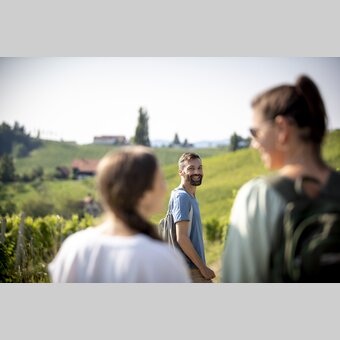 Hiking through the vineyards of southern Styria | © Steiermark Tourismus | Tom Lamm