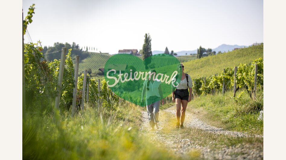 Hiking through the vineyards of southern Styria | © Steiermark Tourismus | Tom Lamm
