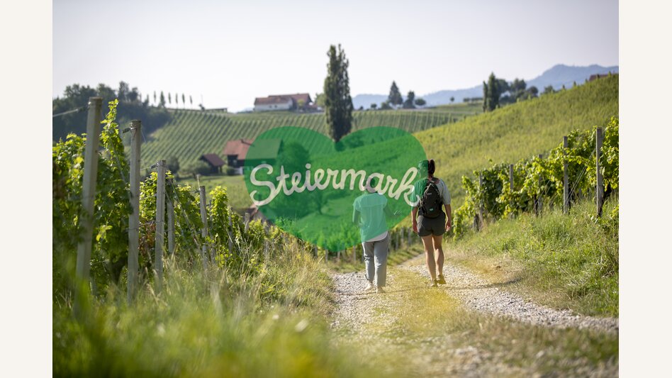 Hiking through the vineyards of southern Styria | © Steiermark Tourismus | Tom Lamm